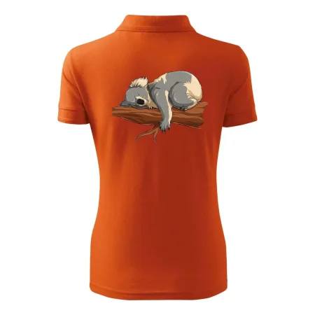Koala na větvi