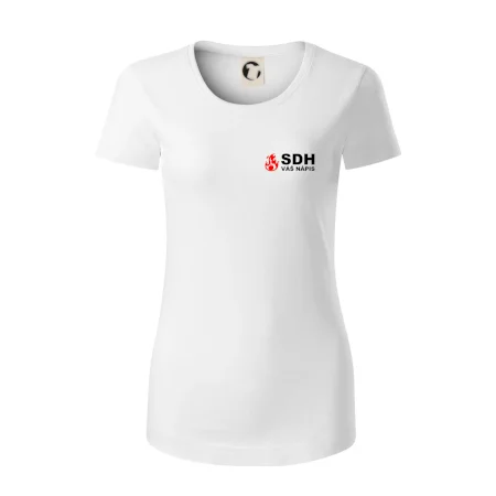 SDH nápis (oheň, název sboru - vlastní nápis)