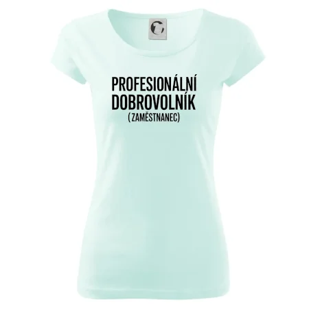 PROFESIONÁLNÍ DOBROVOLNÍK (zaměstnanec)