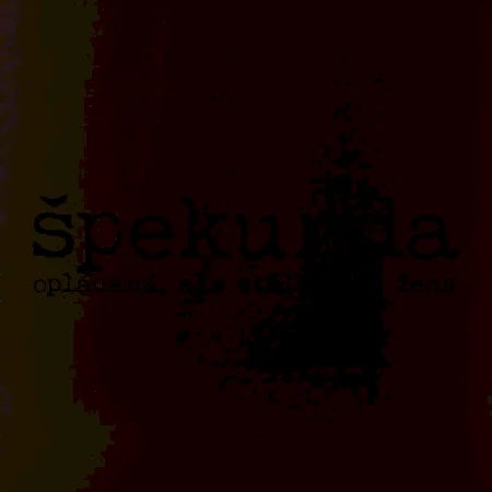 Čeština 2.0 - spalouch