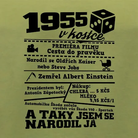 1955 v kostce