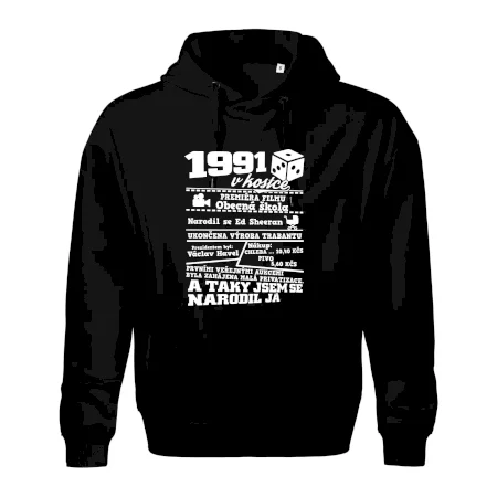 1991 v kostce