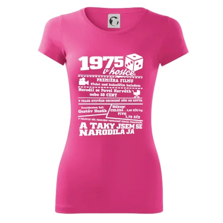 1975 v kostce