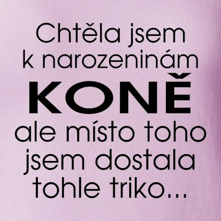 Chtěla jsem dostat k narozeninám koně