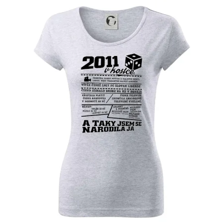 2011 v kostce