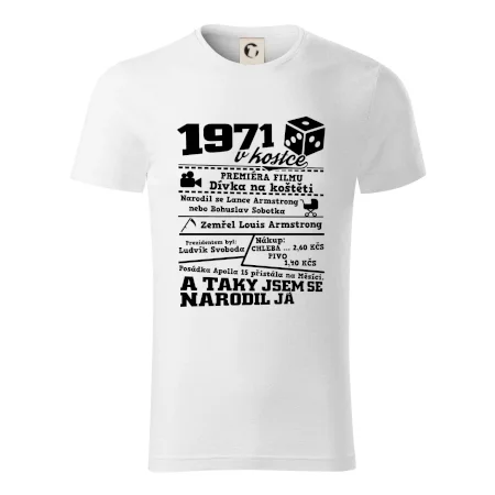 1971 v kostce
