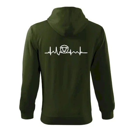 Ekg ovce