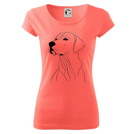 Labrador černá kresba