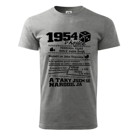 1954 v kostce