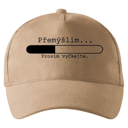 Přemýšlím