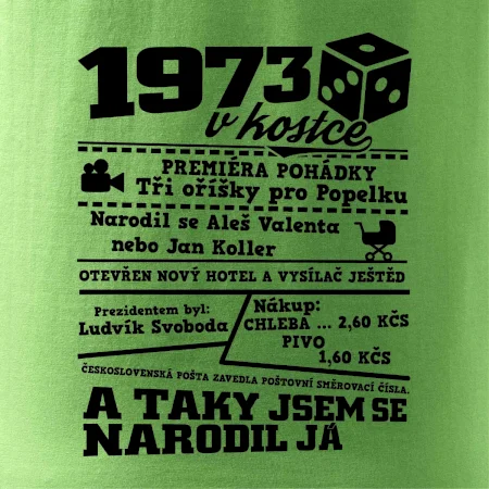 1973 v kostce