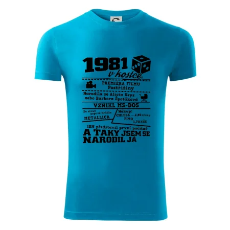 1981 v kostce