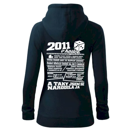 2011 v kostce