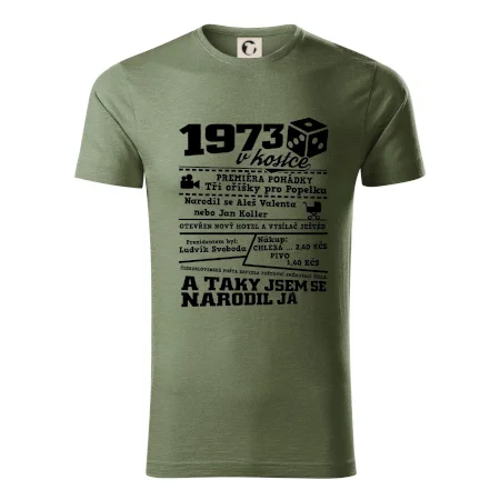 1973 v kostce