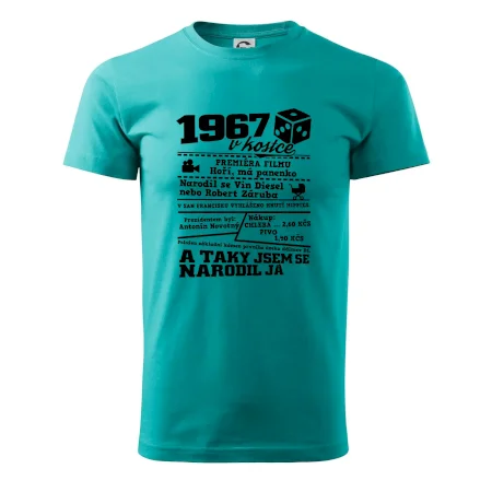 1967 v kostce