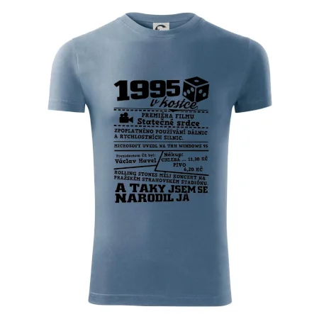 1995 v kostce