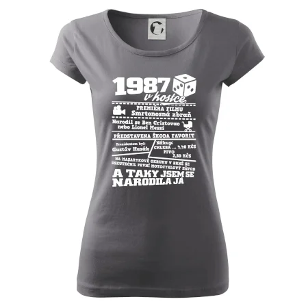 1987 v kostce