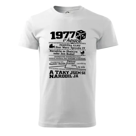 1977 v kostce