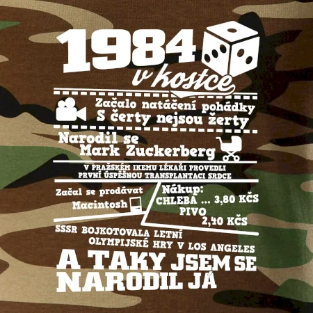 1984 v kostce