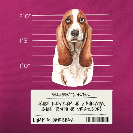 Baset - lump a darebák