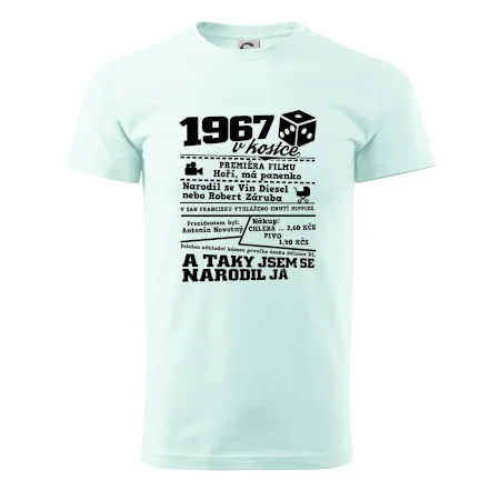1967 v kostce