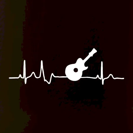 EKG akustická kytara