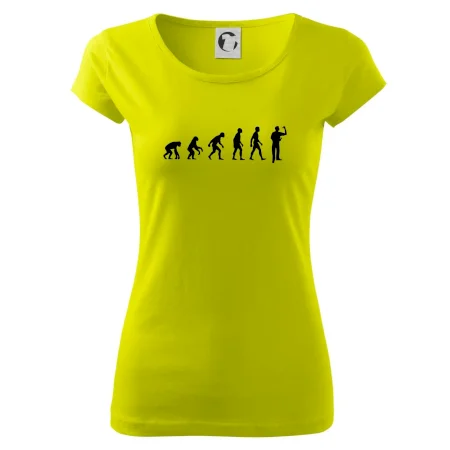 Evoluce šipky