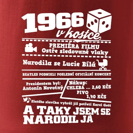 1966 v kostce