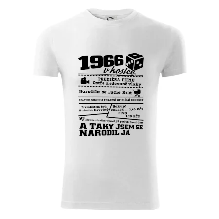 1966 v kostce