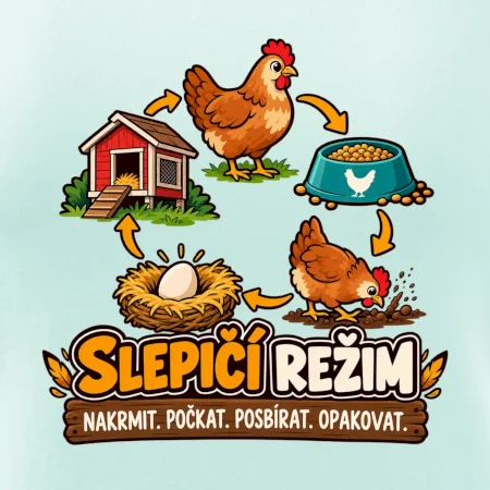 Slepičí režim od krmení po sběr vajec