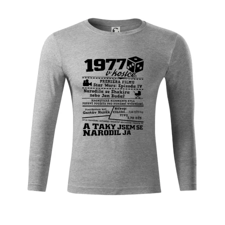 1977 v kostce