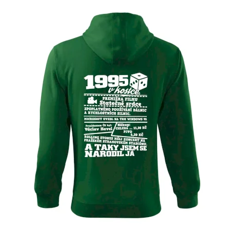 1995 v kostce