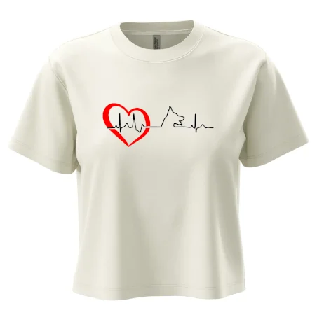 Německý ovčák ekg