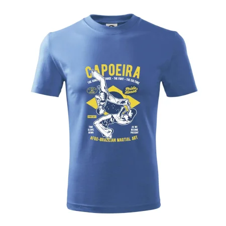 Capoeira  Afro-brazil art