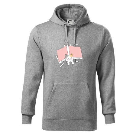 Učení na státnice kočka