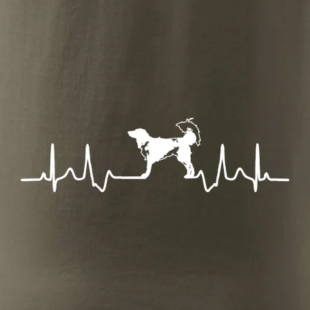 Český strakatý pes EKG