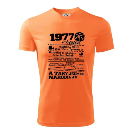 1977 v kostce
