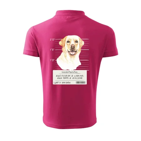 Lump a darebák labrador