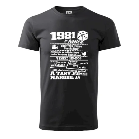 1981 v kostce