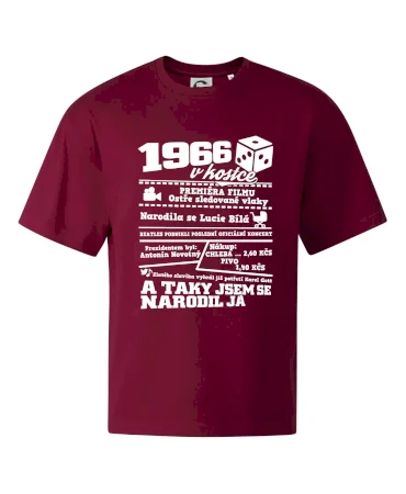 1966 v kostce