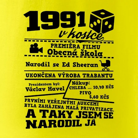 1991 v kostce