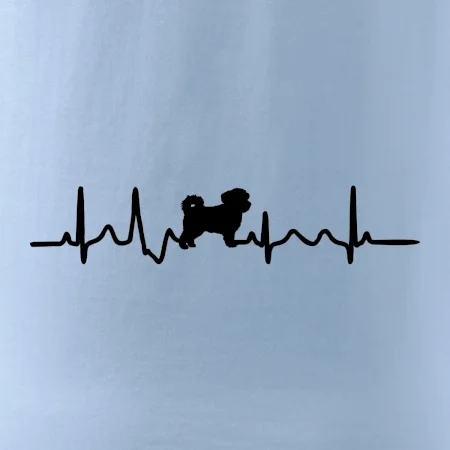 Havanský psík ekg