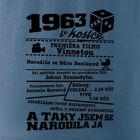 1963 v kostce