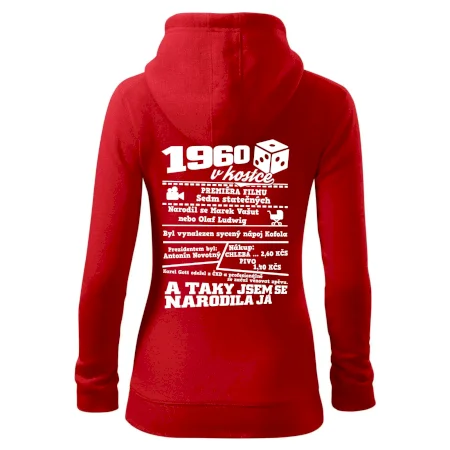 1960 v kostce