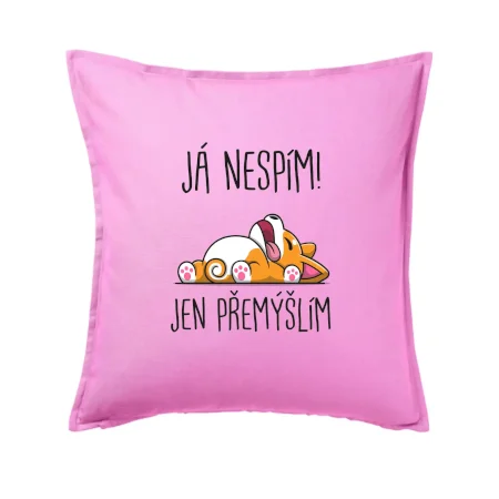 Já nespím, jen přemýšlím