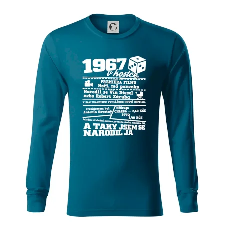 1967 v kostce