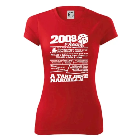 2008 v kostce
