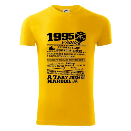 1995 v kostce