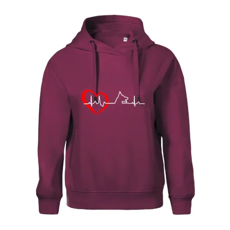 Německý ovčák ekg
