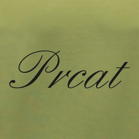 Prcat (souložit vulgárně)
